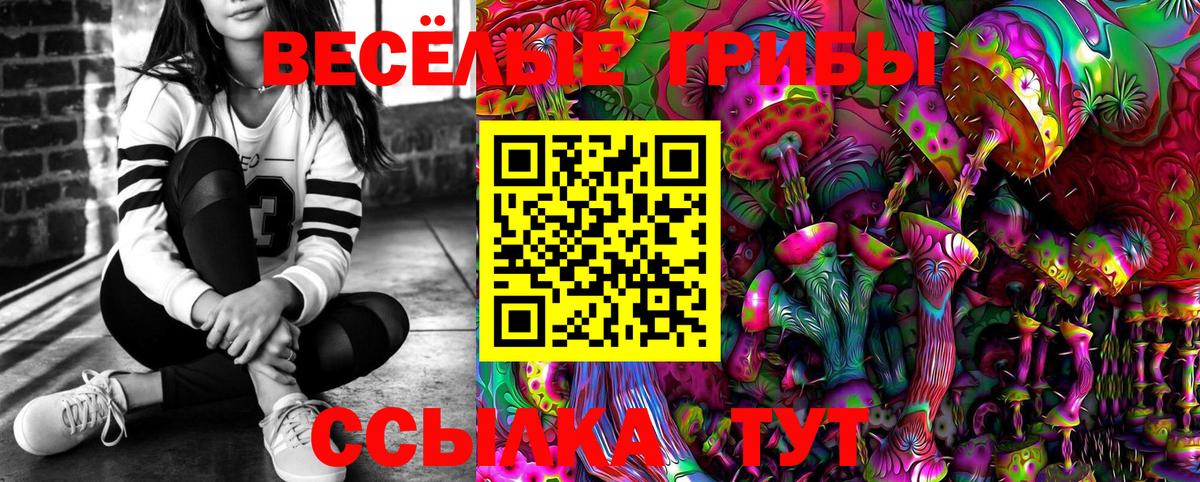 Рыбинск  Галлюциногенные грибы прущие грибы  Вход с VPN 
